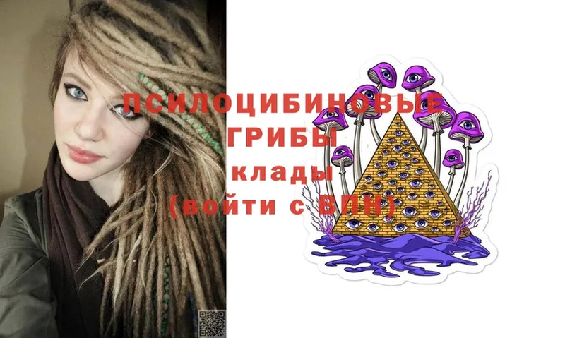 Галлюциногенные грибы Psilocybe  купить  сайты  Серпухов 